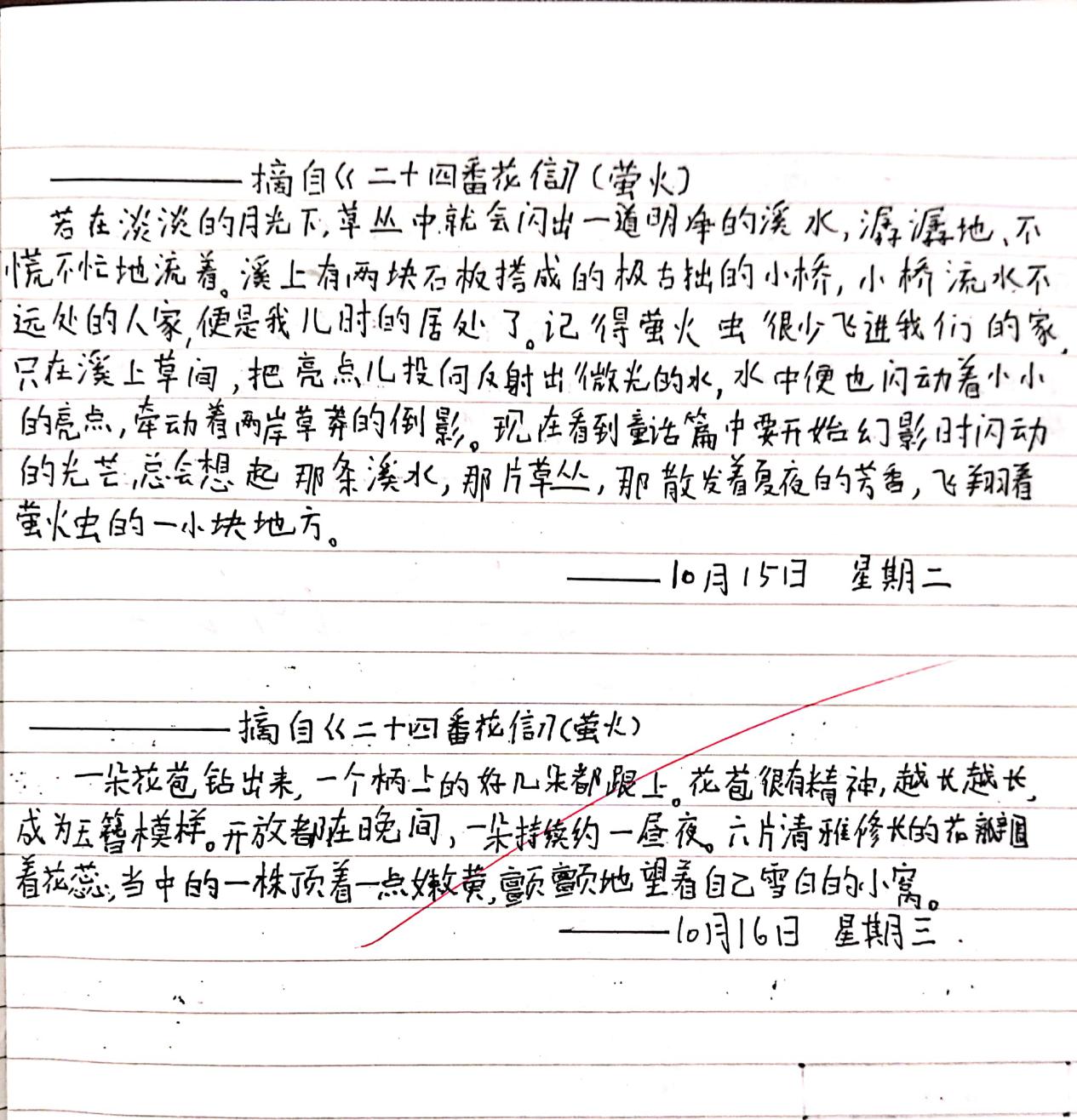 f13499fd703b4ece8c6ba41f7e119af8.Jpeg