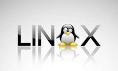 Linux操作系统