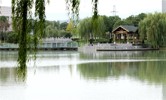 IMG_0477.jpg