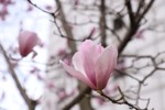 IMG_9436