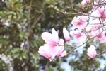 IMG_9443