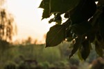 IMG_4631