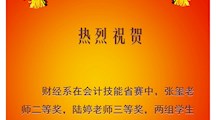 喜报|财经系在省会计技能大赛中喜获佳绩