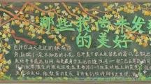 那些我尚未发现的美丽——财经系开展2025-2026学年第一学期第三期黑板报评比