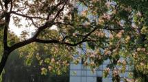 春光拾影，镜遇芳华——财经系春日摄影征集活动圆满落幕