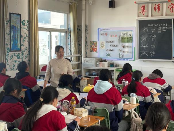 mmexport1733186765243(1)